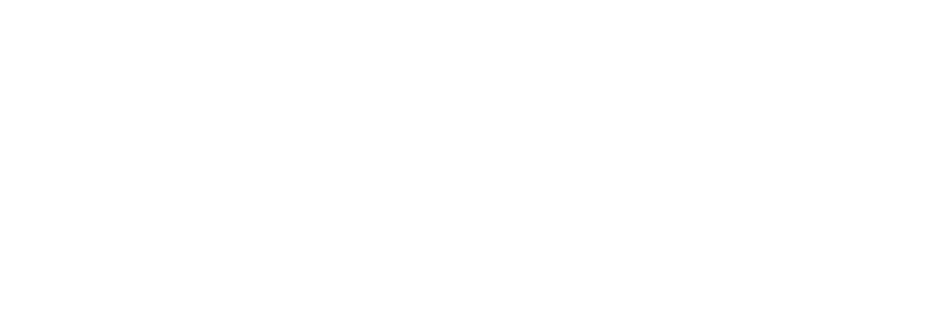 Logo Altimus